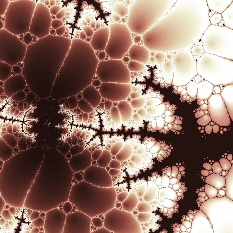 fractals cells closeup warm colors